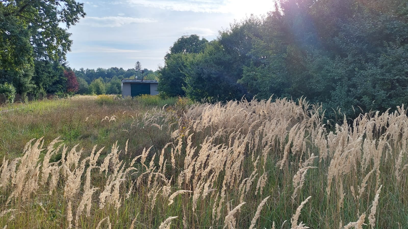 ProsperHome.pl - centrum nieruchomości: Jelcz-Laskowice   | ATRAKCYJNE DZIAŁKI W CENTRUM