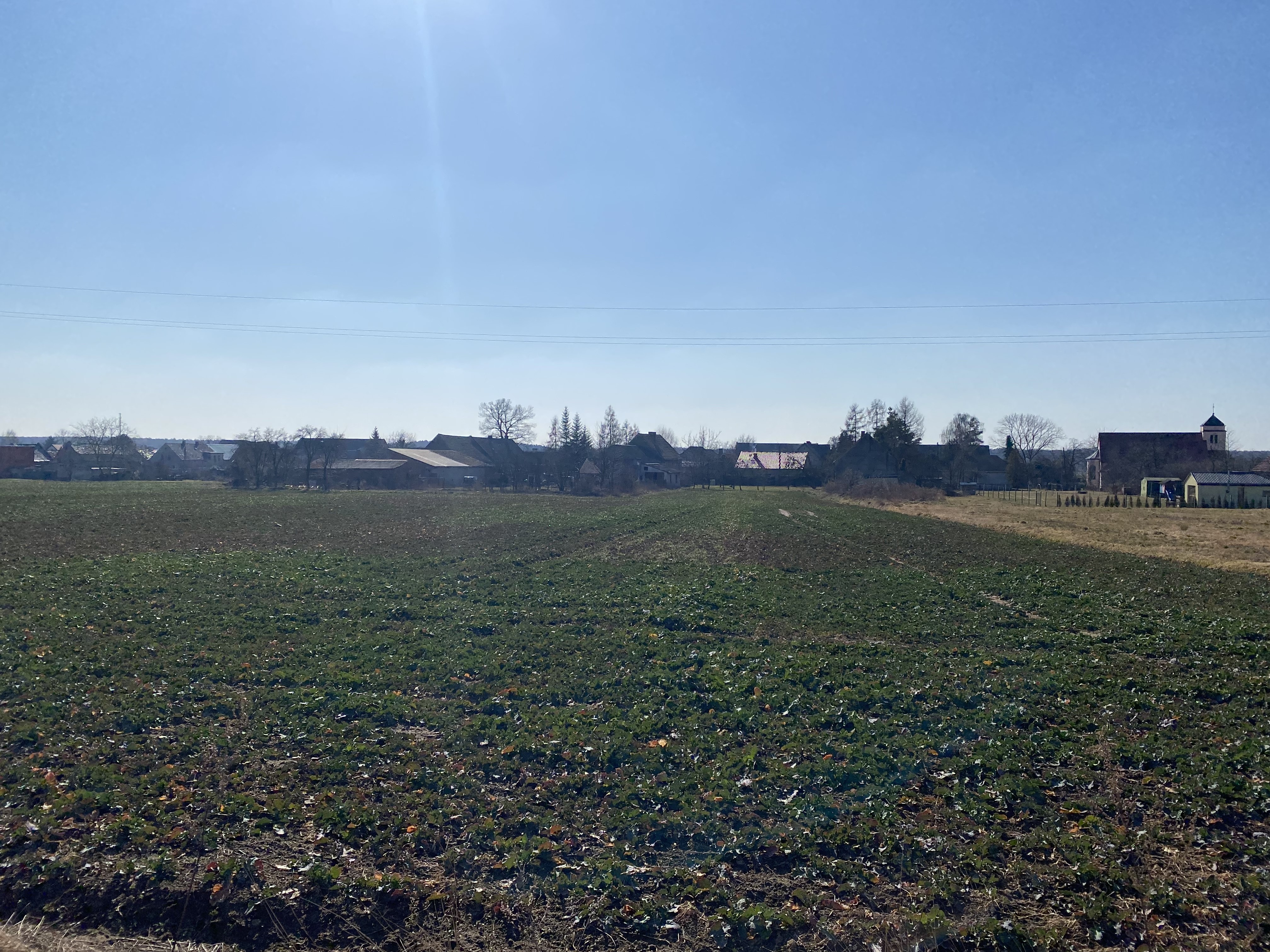 ProsperHome.pl - centrum nieruchomości:   