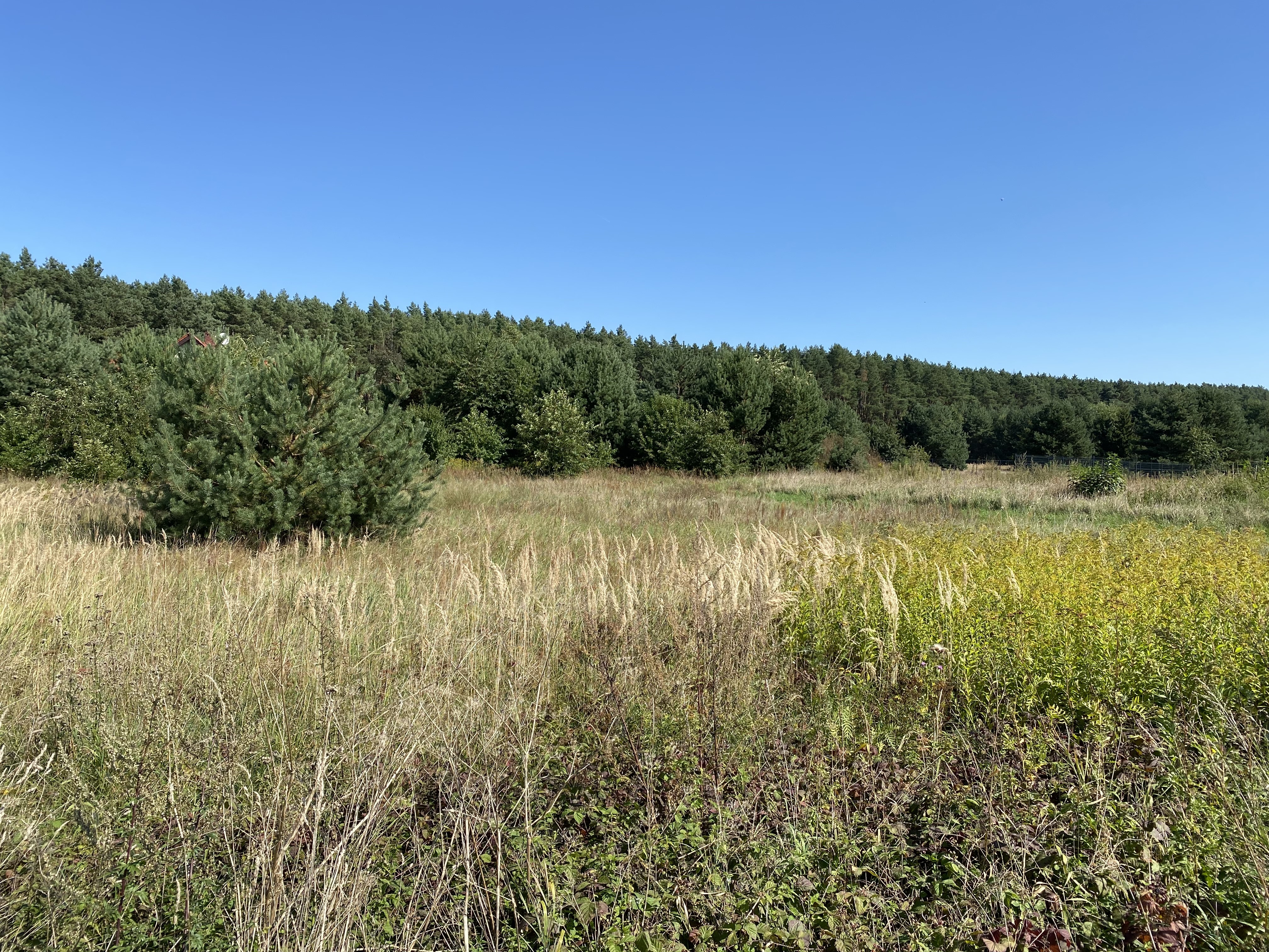 nieruchomosc prosperhome Biskupice Oławskie