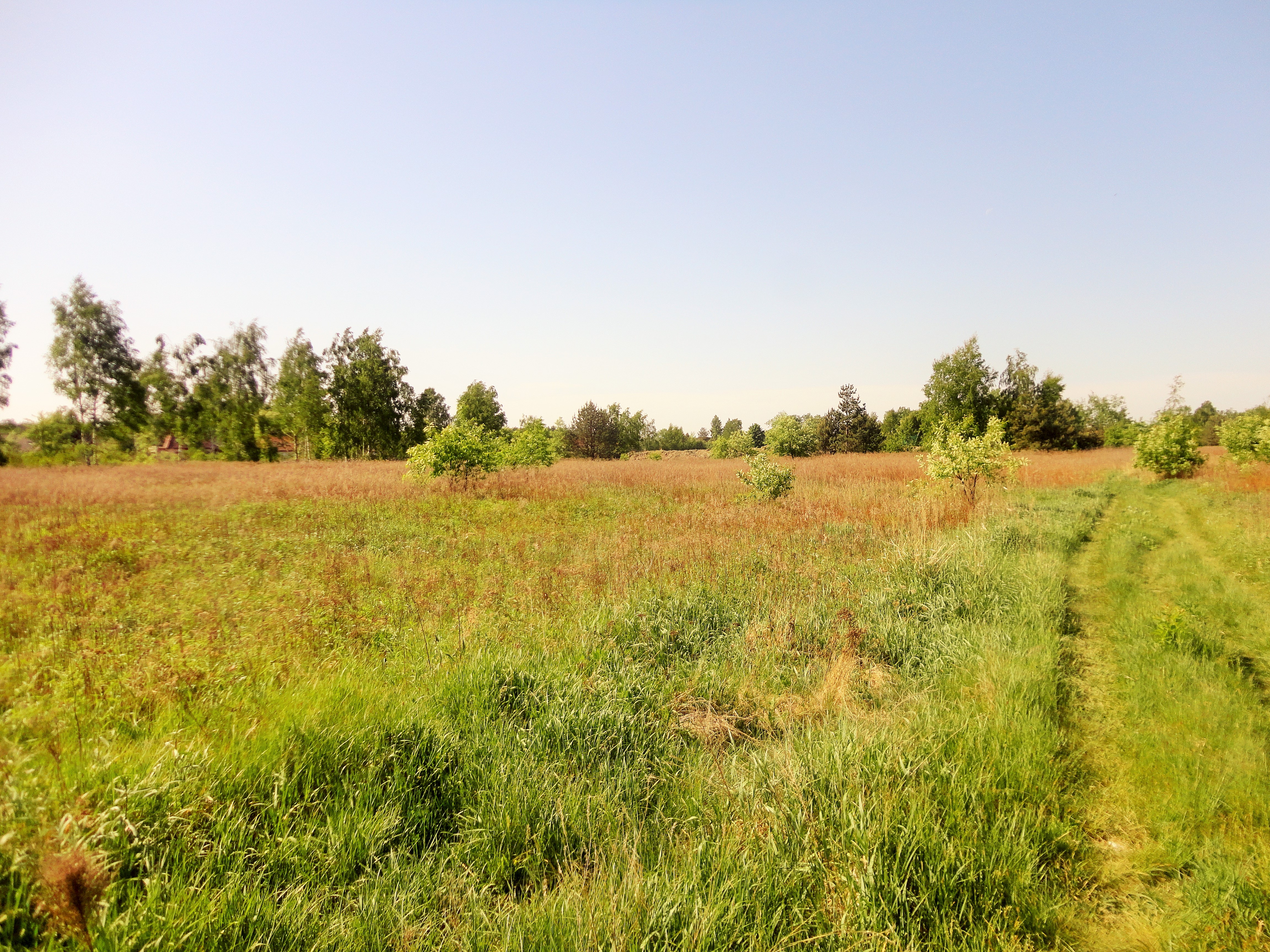 nieruchomosc prosperhome Ratowice  