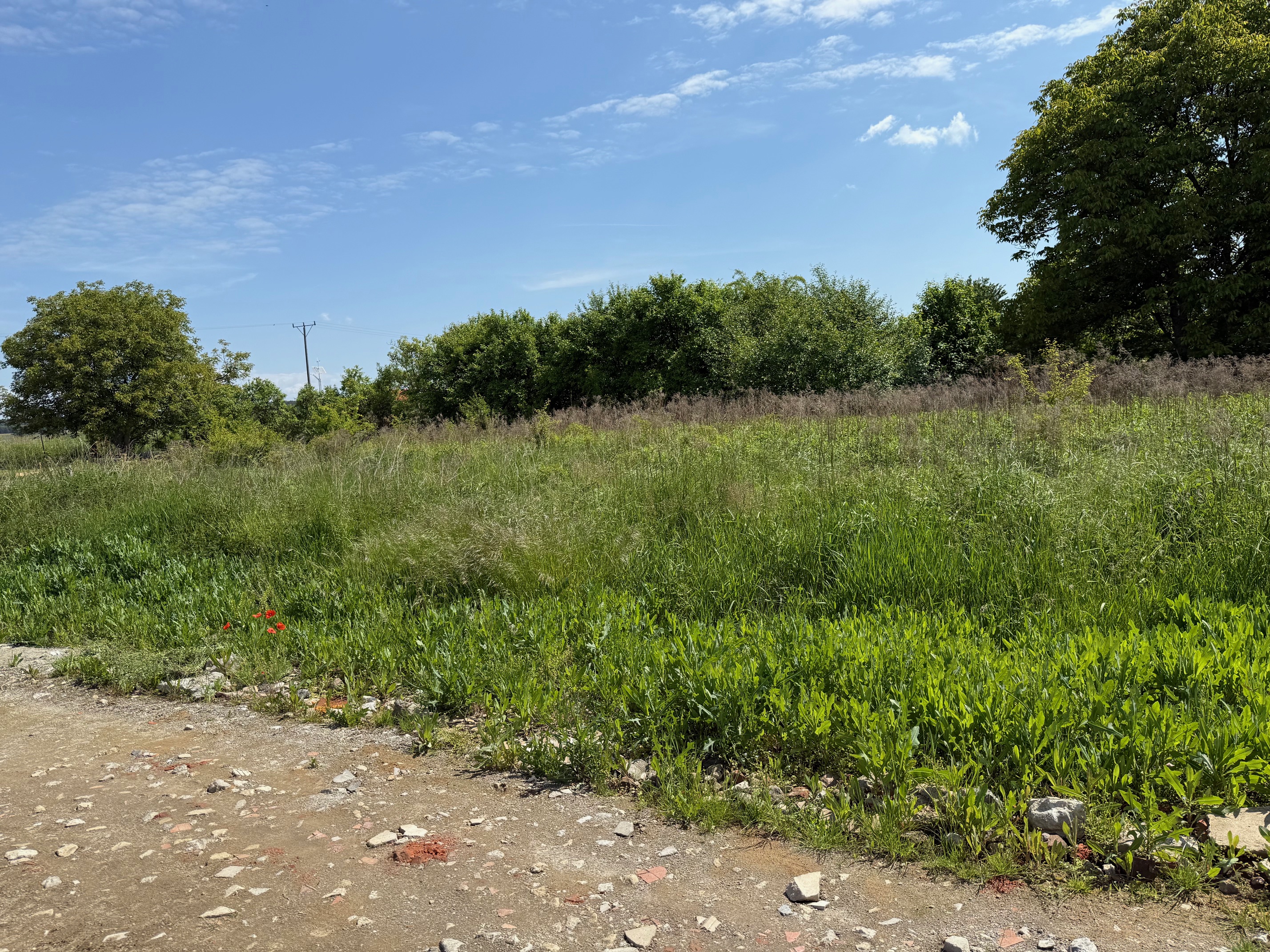 ProsperHome.pl - centrum nieruchomości: Minkowice Oławskie   | Działka